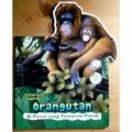 Orangutan: Si pintar yang terancam punah